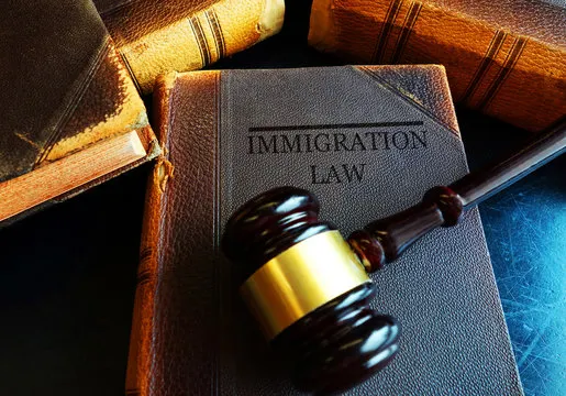 Immigration
