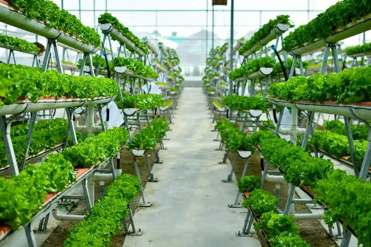 Vertical farming