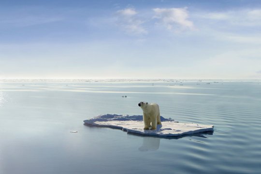 climate change