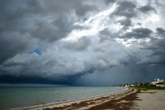Gulf Coast