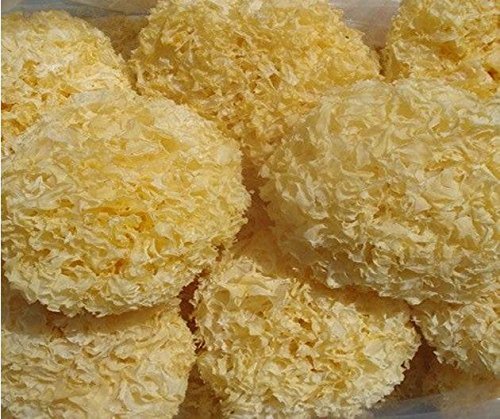 Tremella Mushrooms