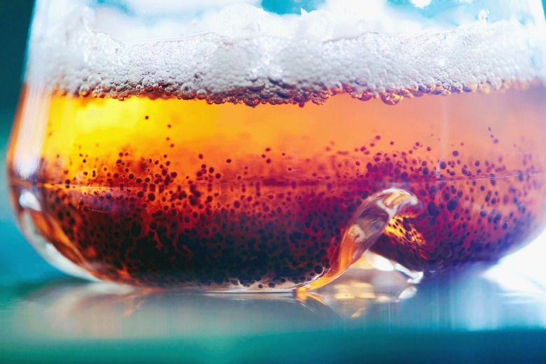 Precision Fermentation