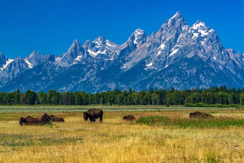 National Parks