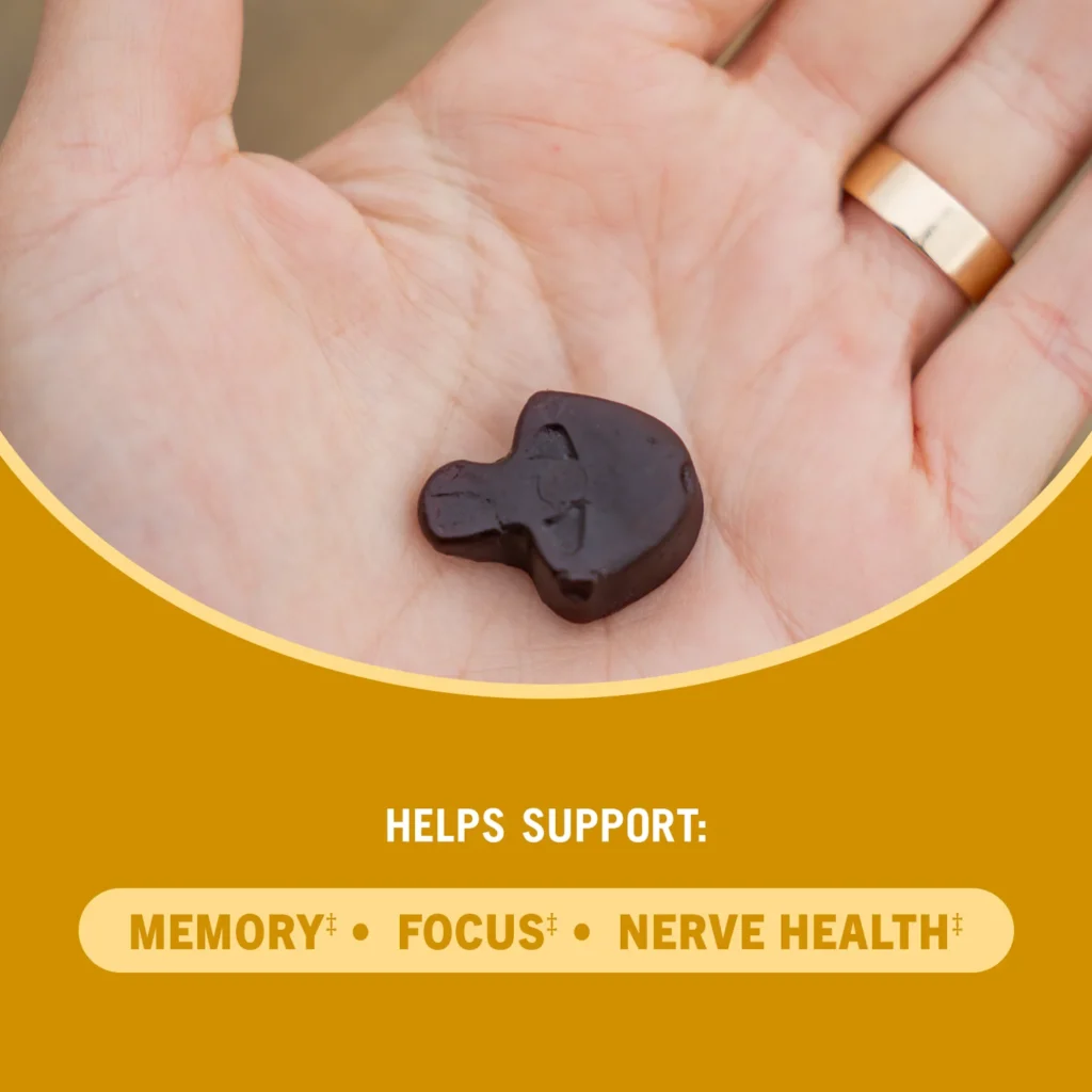 Mushroom Gummies