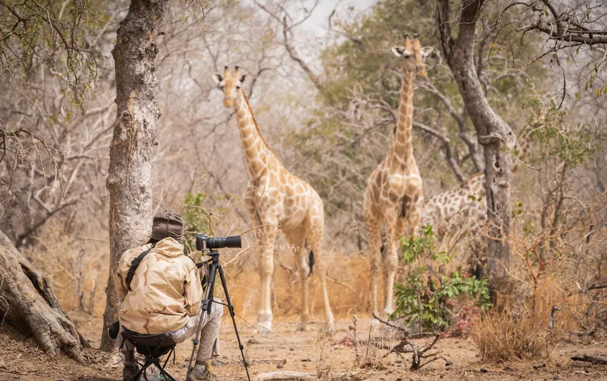 Wildlife Photography