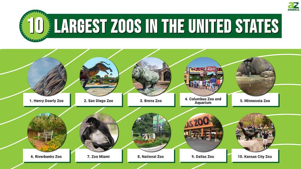  Zoos 