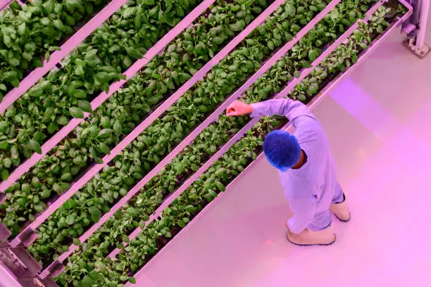 Vertical farming