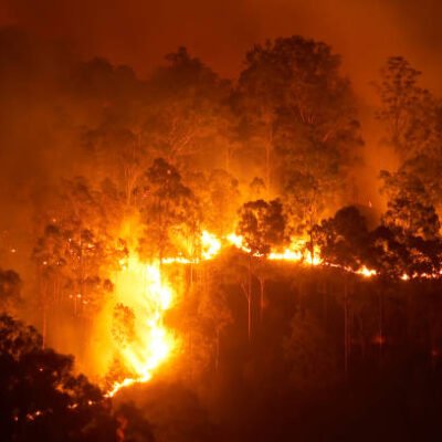 Wildfires
