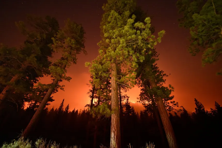 California