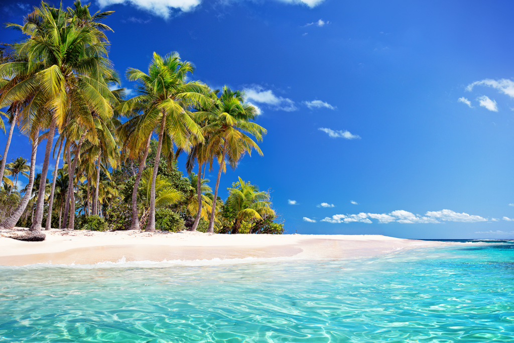 Cayman Islands: A Caribbean Paradise for Beach Lovers and Divers