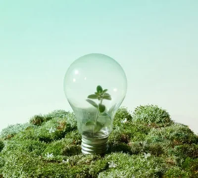renewable energy