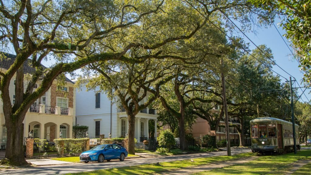 Garden District