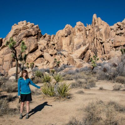 Majestic Beauty of Joshua Tree National Park in the USA