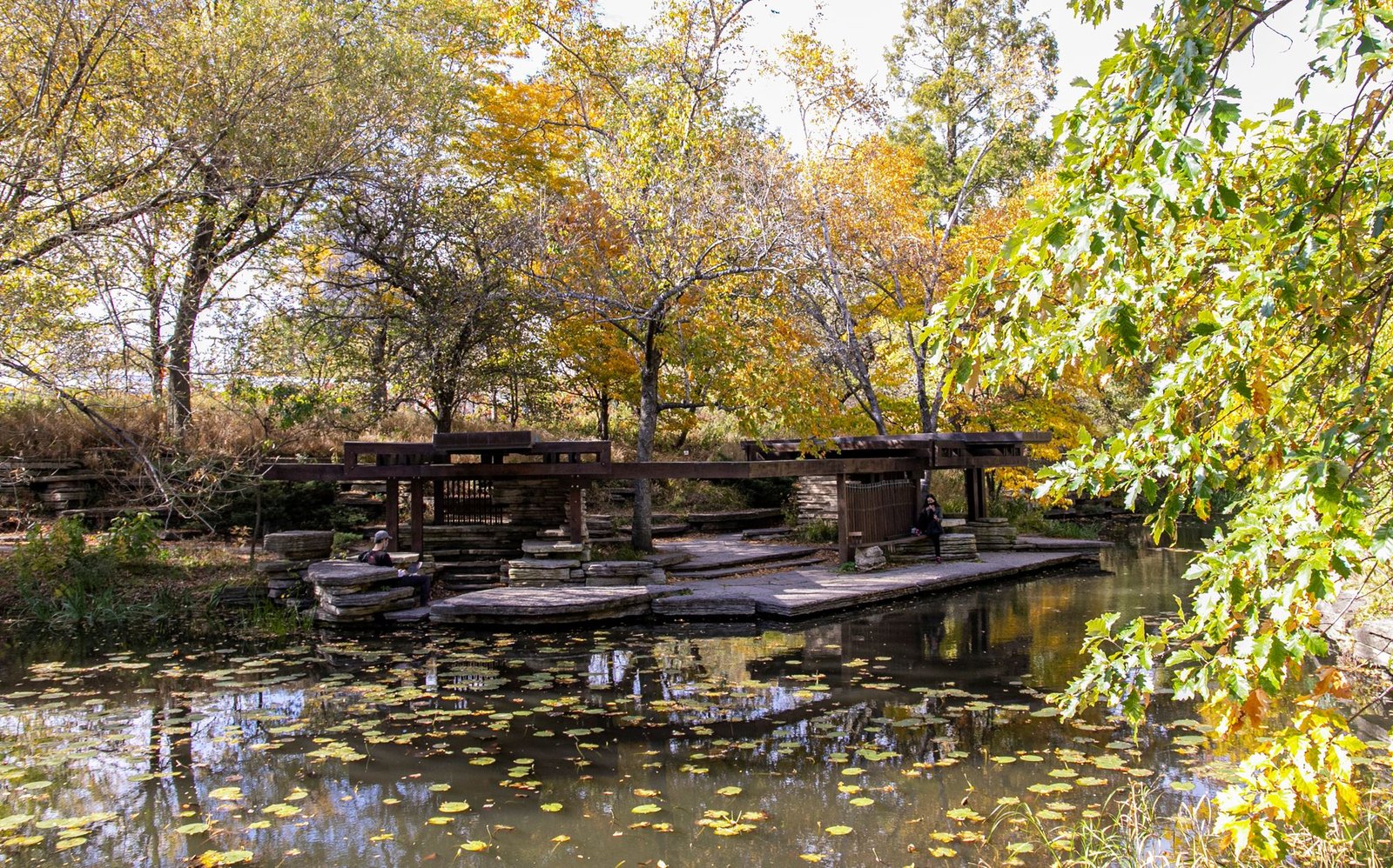 Alfred Caldwell Lily Pool