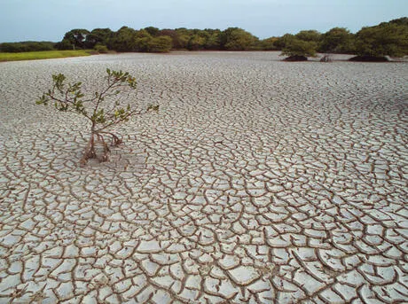 water scarcity