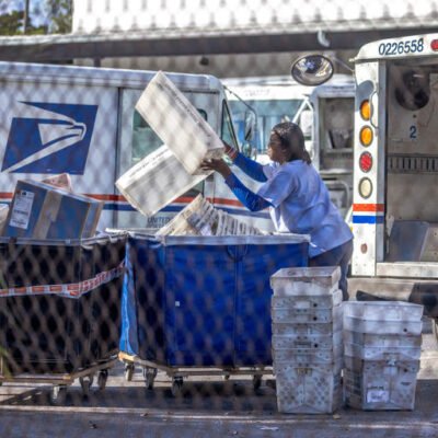 Government Service Privatization