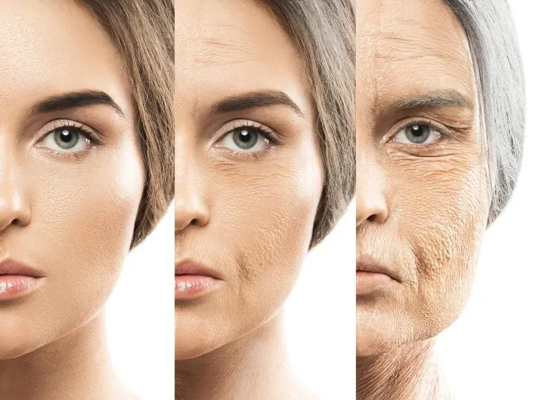Anti-Aging