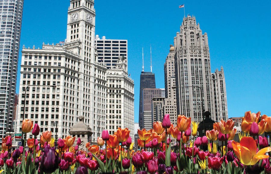 Magnificent Mile