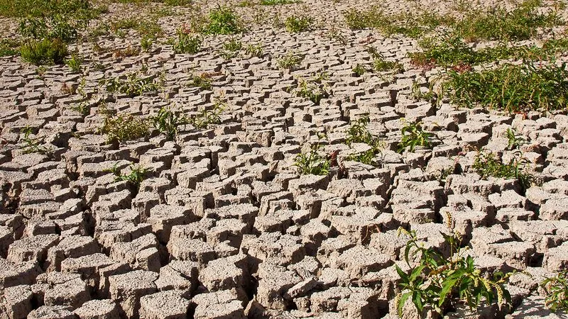 Climate