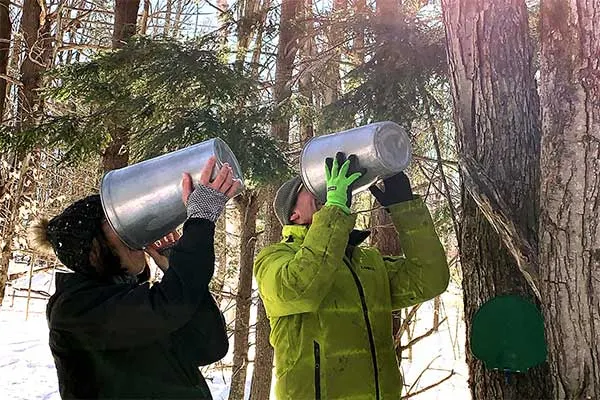 Maple Syrup