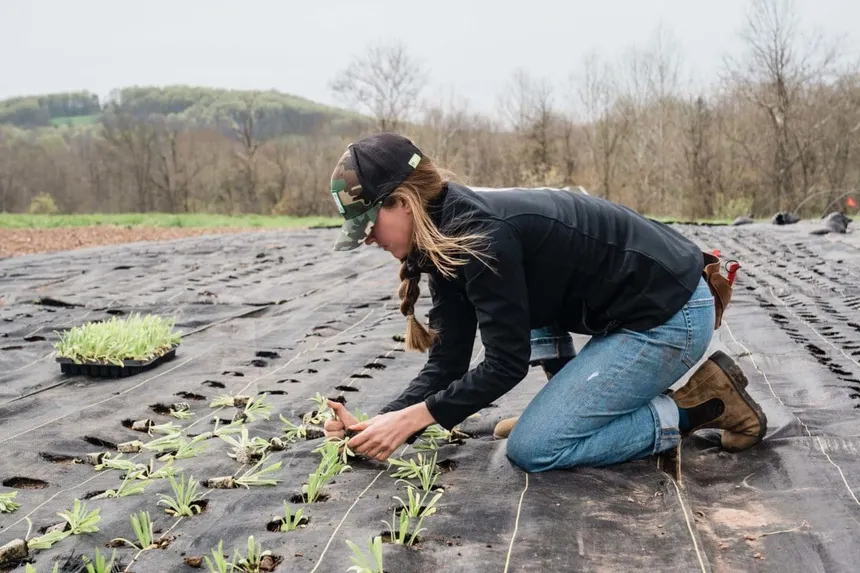 sustainable agriculture