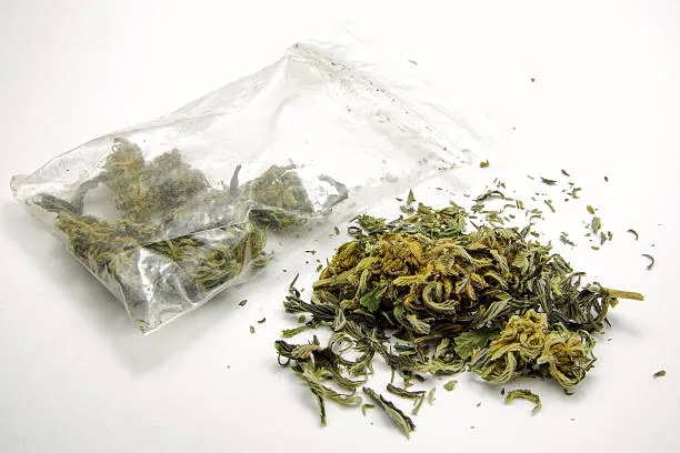 Medical Marijuana