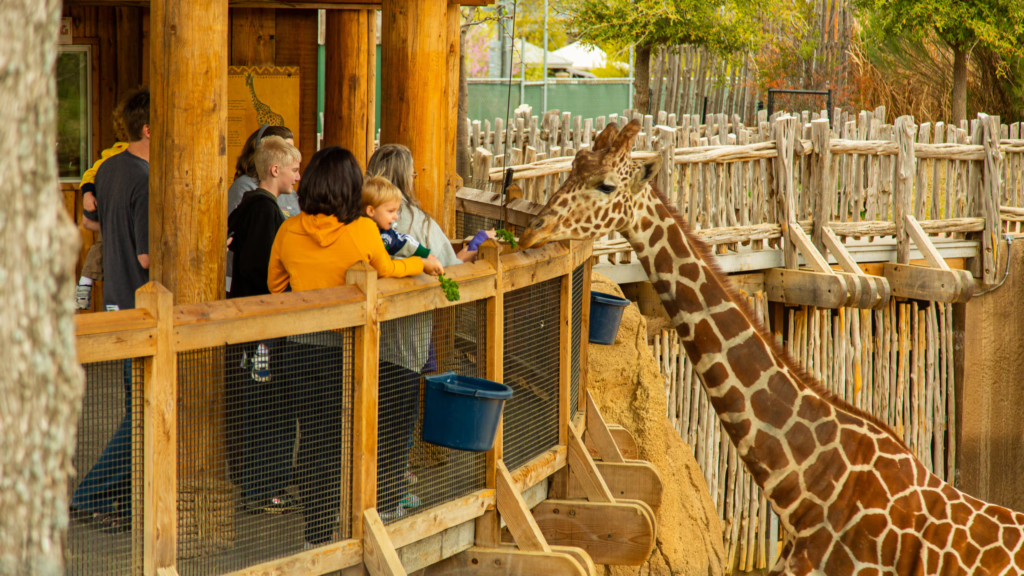 Zoos