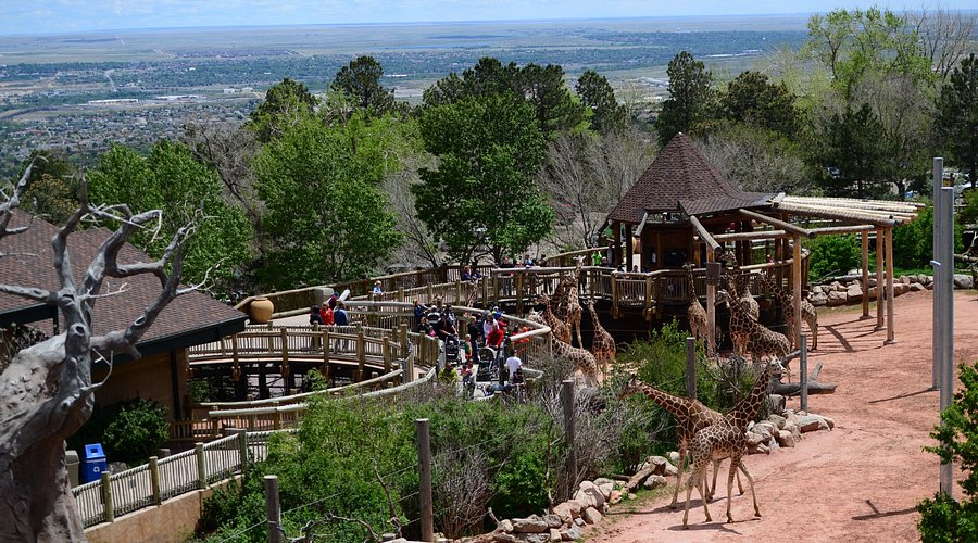 Zoos