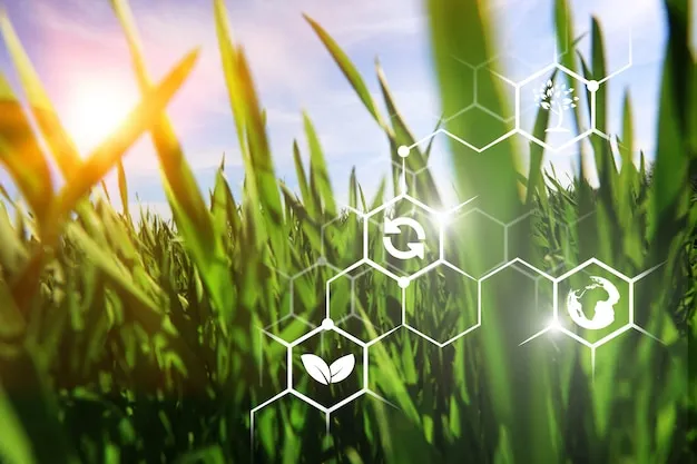 sustainable agriculture