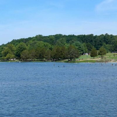 Father’s Heroic Attempt Ends in Tragedy at Lake Anna