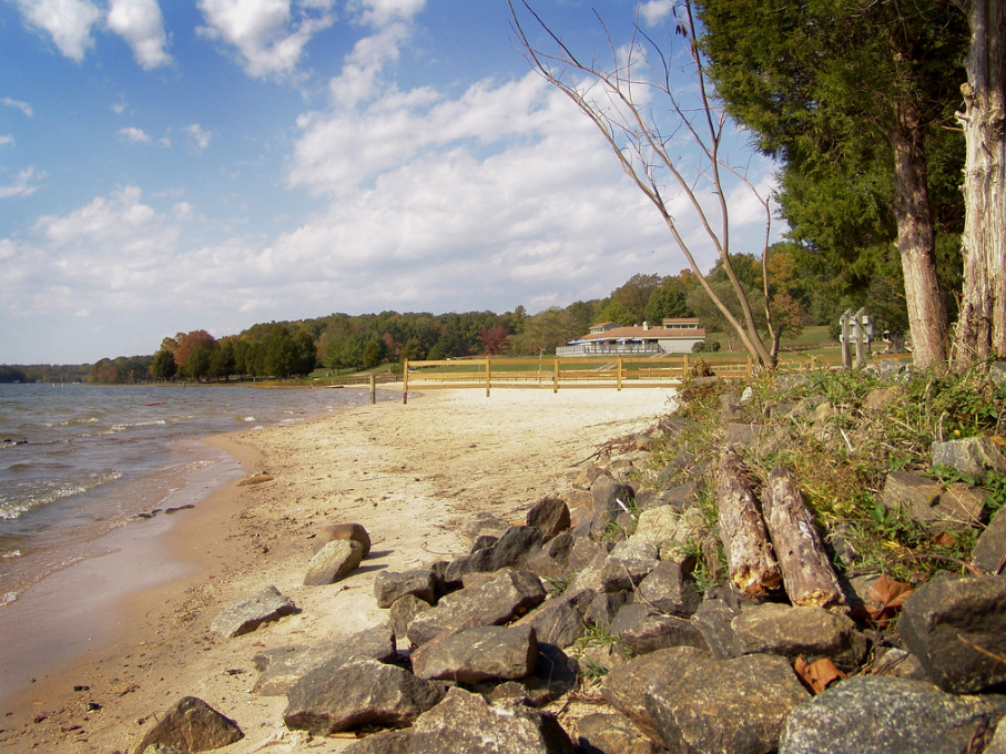 Father’s Heroic Attempt Ends in Tragedy at Lake Anna