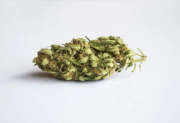 Medical Marijuana