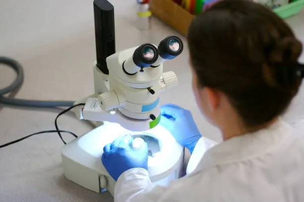Gene Therapy
