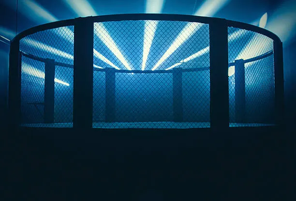 MMA