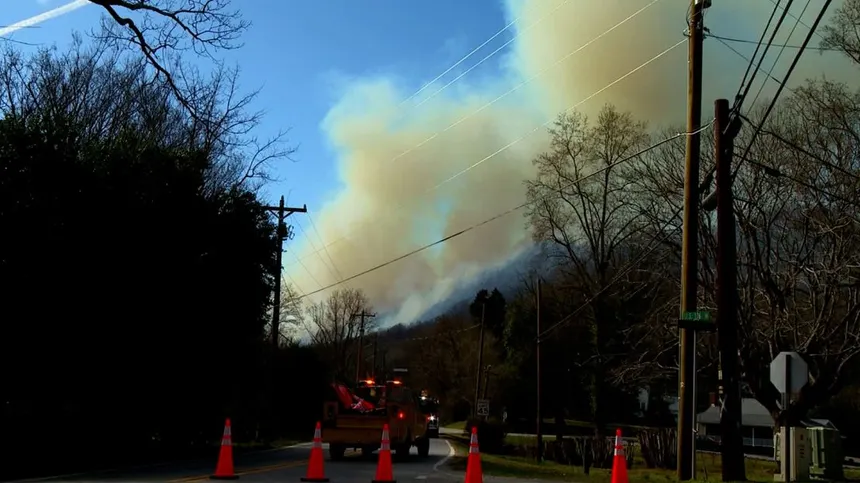 Wildfire
