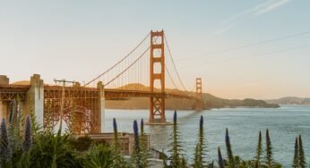 San Francisco Travel Guide: Best Places, Eats, and Hidden Gems