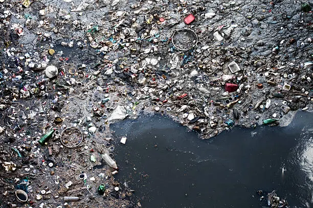 Plastic Ban