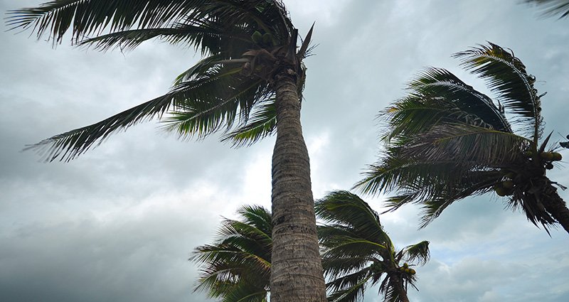 Strong Winds to Hit Hard: Warnings Issued for Safety Measures!