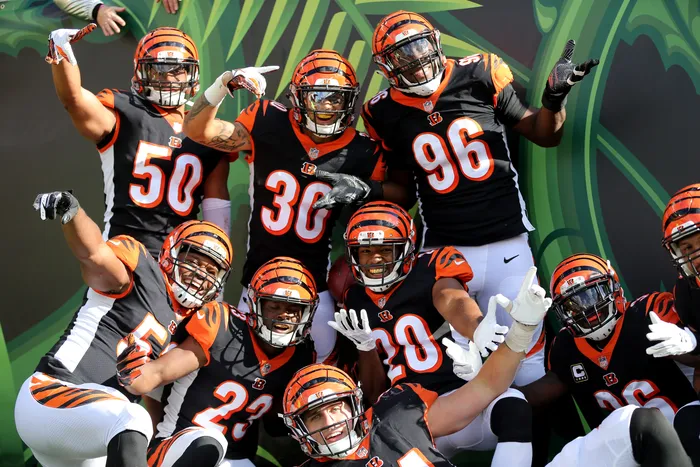 Are the Bengals in the Playoffs
