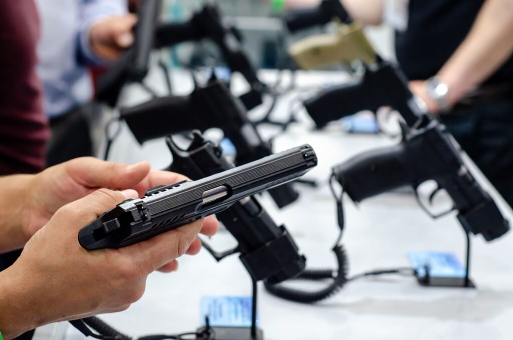 Gun Control Laws 2025