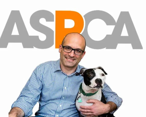 Why Does the ASPCA CEO Salary Matter?