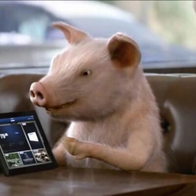 GEICO's Pig Commercial