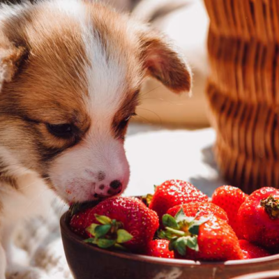 Strawberries