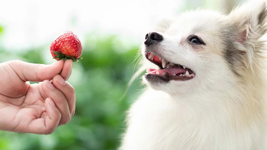 Strawberries