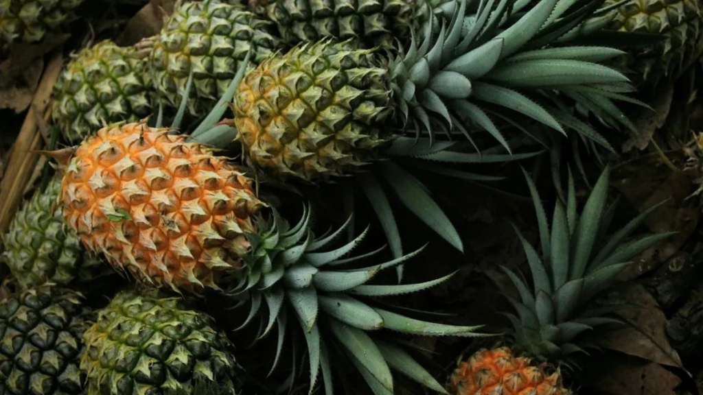 Pineapples