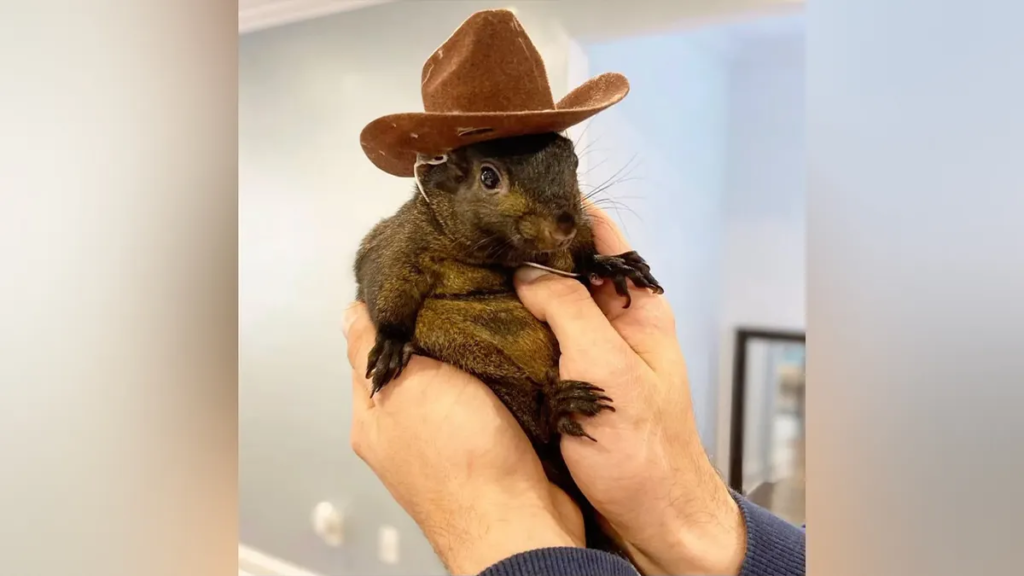 Peanut