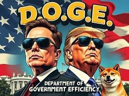 elon musk doge trump