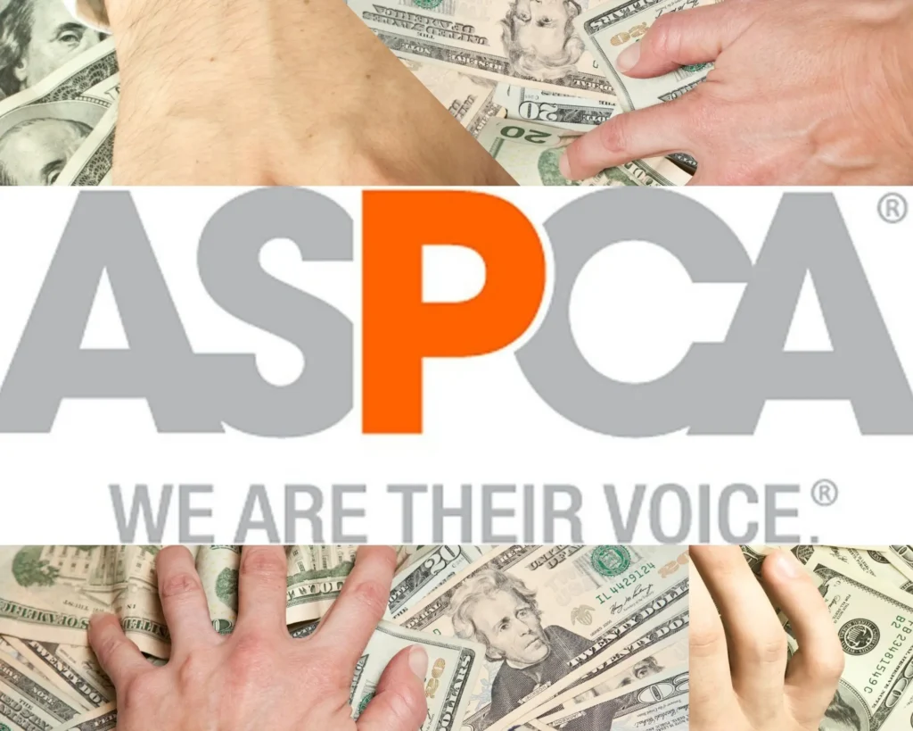 ASPCA CEO Salary: What’s the Real Number?