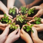 Daily Habits to Reduce Your Carbon Footprint