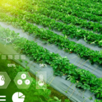 farming